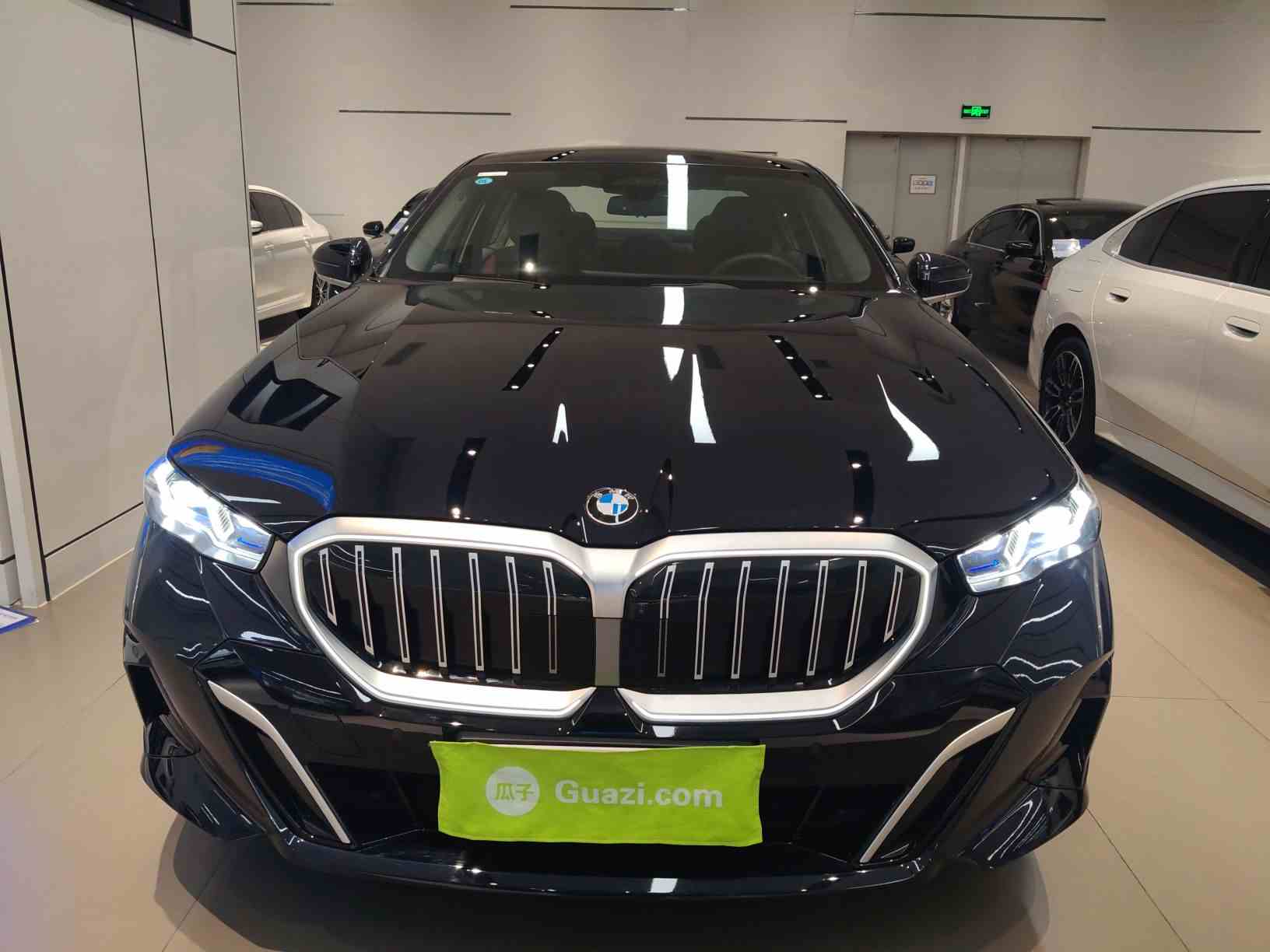 宝马5系 2025款 530Li 尊享型 M运动套装(1)