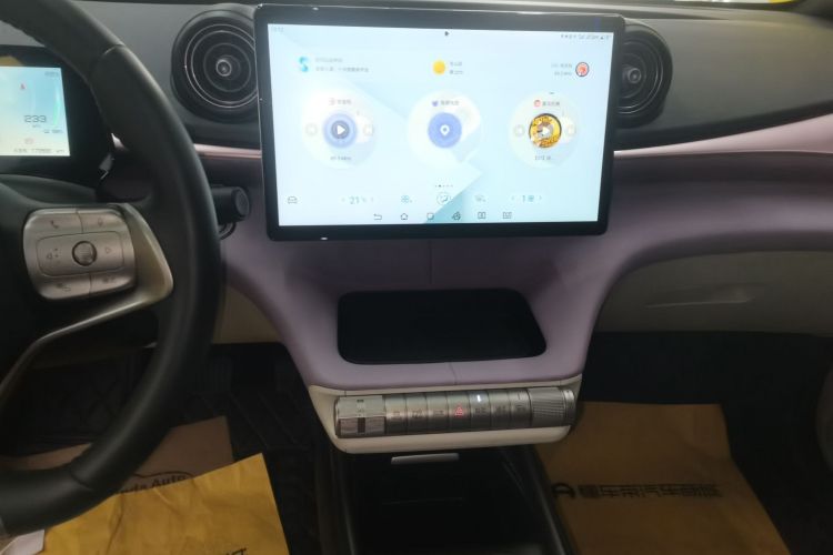 比亚迪 海豚 2021款 401km 骑士版局部细节16