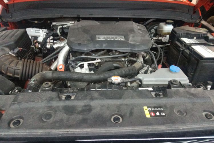 坦克300 2024款 2.0T 穿越者机舱底盘24