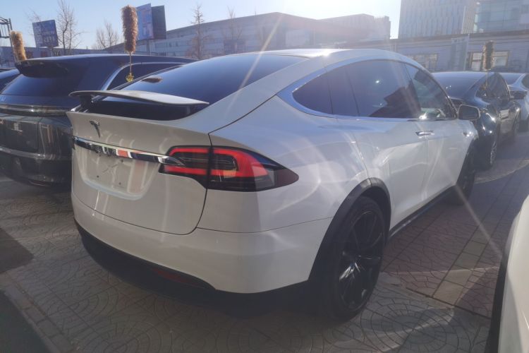 特斯拉 Model X 2019款 Performance 高性能版车身外观7