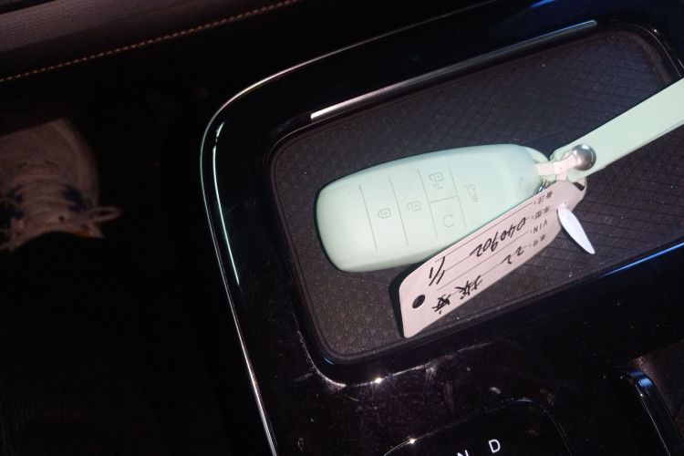 埃安 AION V 2021款 Plus 80 智享科技版 三元锂中控内饰7001