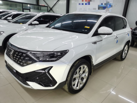 捷达VS5 2023款 280TSI 自动悦享型