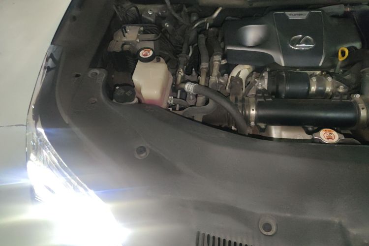 雷克萨斯RX 2016款 300 四驱典雅版 国V局部细节9006