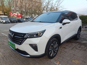 五菱汽车 五菱星辰 2022款 2.0L DHT电速款