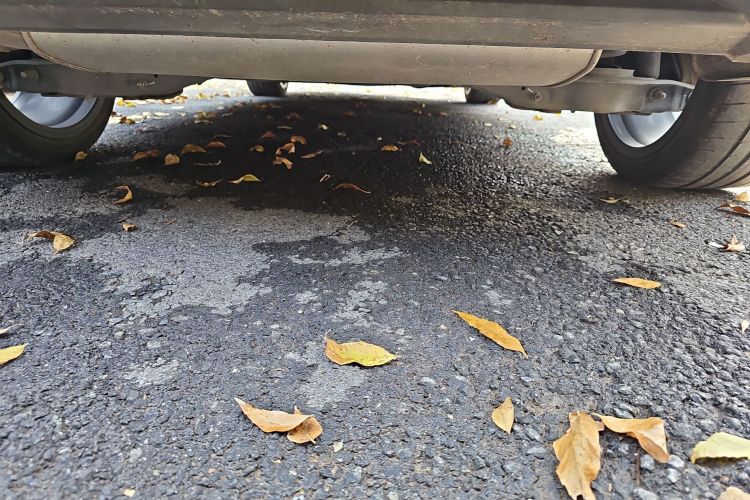 奥迪A3 2021款 Sportback 35 TFSI 豪华运动型局部细节9009