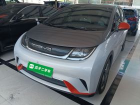 比亚迪 海豚 2021款 405km 自由版