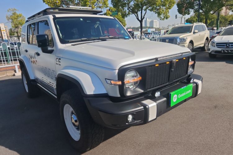 坦克300 2021款 城市版 2.0T 很有型车身外观6002