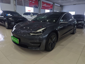 特斯拉 Model 3 2019款 标准续航后驱升级版