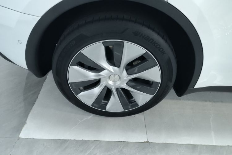 特斯拉 Model Y 2021款 长续航全轮驱动版车身外观6008