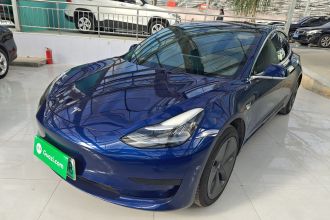特斯拉 Model 3 2019款 标准续航后驱升级版