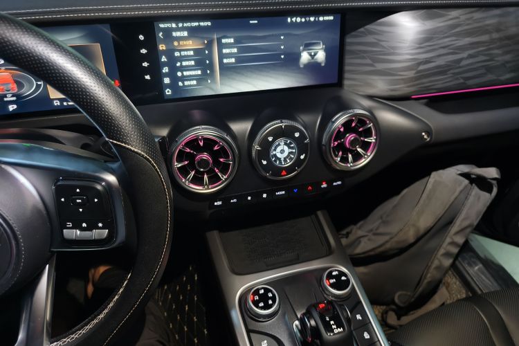 坦克300 2024款 2.0T 征服者中控内饰16