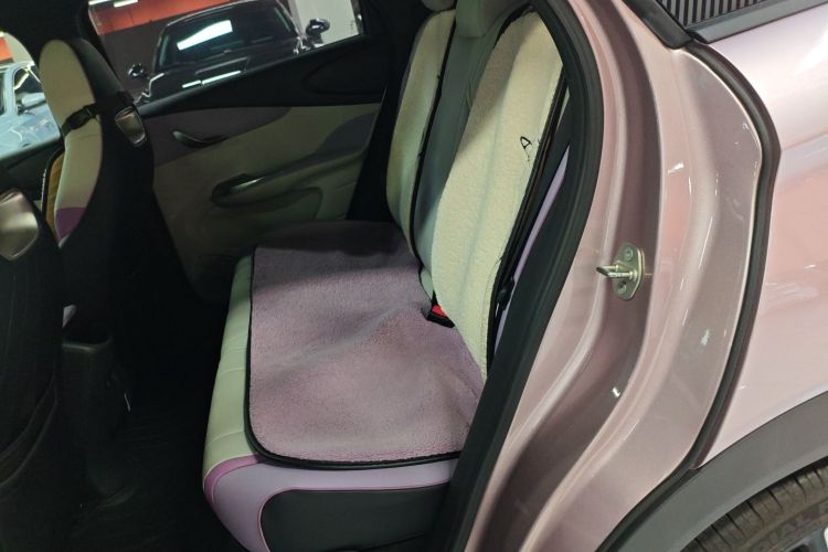 比亚迪 海豚 2021款 401km 骑士版中控内饰7004