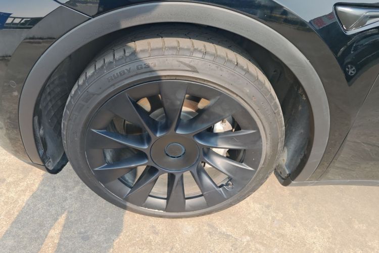 特斯拉 Model Y 2021款 标准续航后驱版车身外观6007