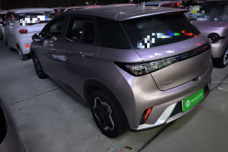 比亚迪 海豚 2021款 405km 时尚版车身外观4