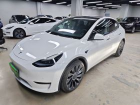 特斯拉 Model Y 2021款 Performance高性能全轮驱动版