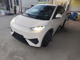 比亚迪 海鸥 2024款 荣耀版 305km 活力版