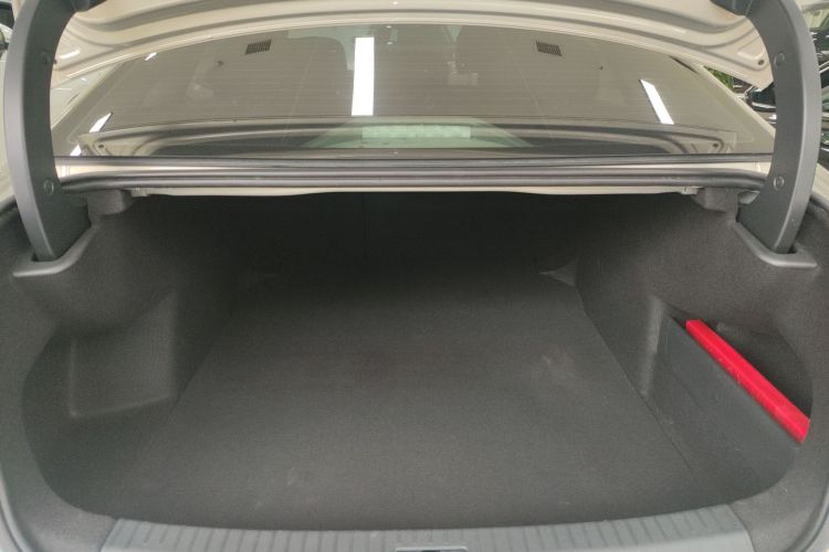 大众 帕萨特 2020款 330TSI 豪华版 国VI机舱底盘23