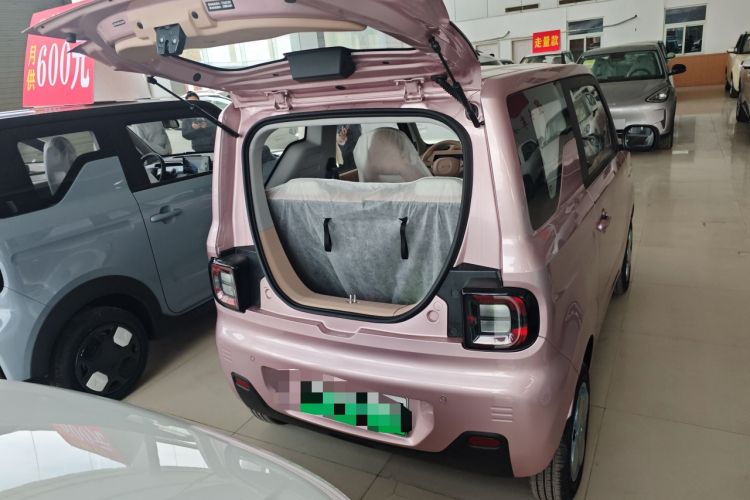 吉利银河 2024款 熊猫mini 200km 耐力熊机舱底盘23