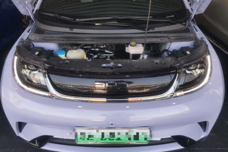 比亚迪 海豚 2023款 420km 自由版机舱底盘24