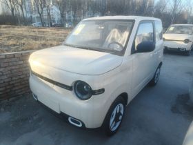 吉利银河 熊猫 2025款 210km 元气熊