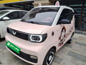 五菱汽车 宏光MINIEV 2022款 马卡龙臻享款 三元锂