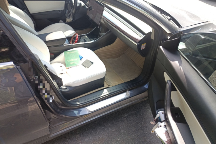 特斯拉 Model 3(进口) 2019款 长续航后驱版局部细节9005