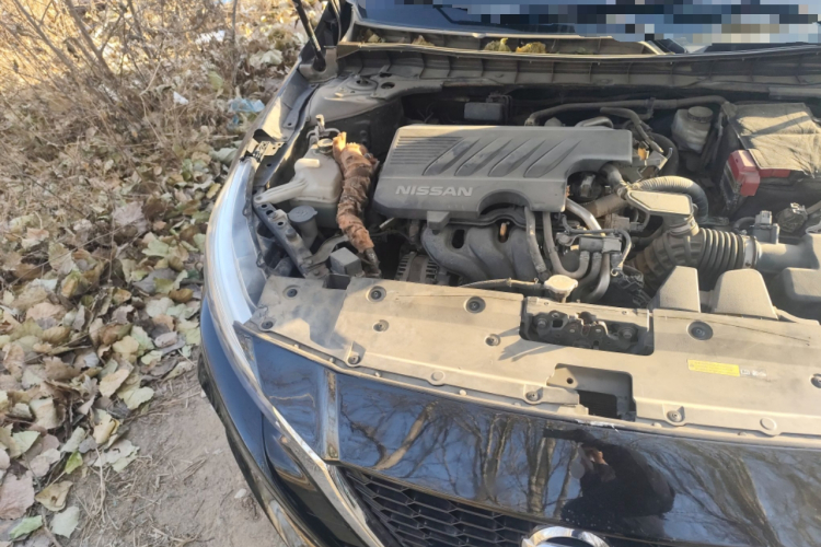 日产 天籁 2019款 2.0L XL 舒适版局部细节9006