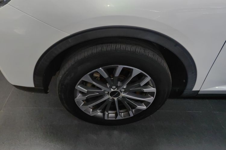 哈弗H6 2020款 1.5GDIT 自动铂金冠军版车身外观6007