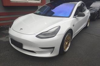 特斯拉 Model 3 2020款 改款 长续航后轮驱动版