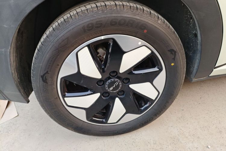 比亚迪 海豚 2025款 420km 自由版车身外观6008