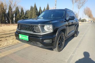 哈弗大狗 PLUS 2023款 1.5T 两驱潮野版Plus