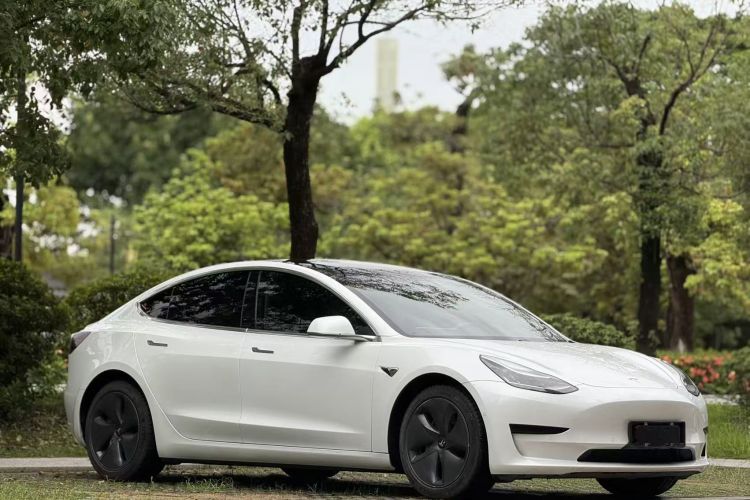 特斯拉 Model 3 2020款 改款 标准续航后驱升级版车身外观6002