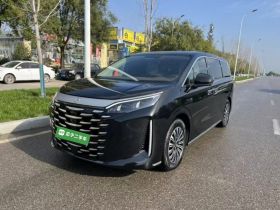 比亚迪 夏 2025款 DM-i 1.5T 180km 卓越型