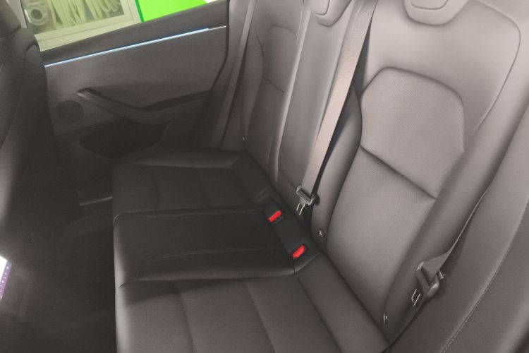 特斯拉 Model 3 2023款 后轮驱动版中控内饰21