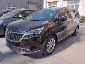 别克GL8 2020款 Avenir艾维亚 六座贤礼版