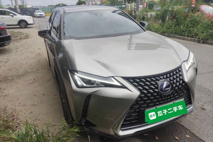 雷克萨斯UX新能源 2020款 300e 纯·悦版车身外观6002