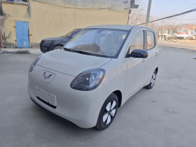 五菱汽车 宏光MINIEV 2025款 四门版 进阶款