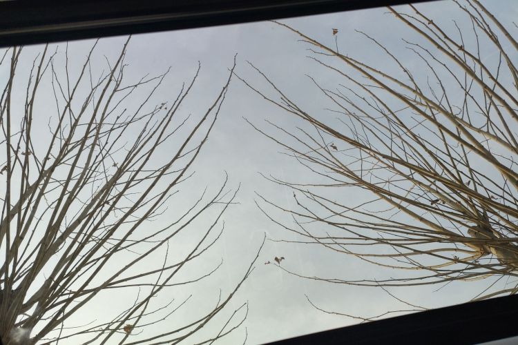 哈弗H6 2023款 国潮版 1.5T 自动都市版中控内饰22