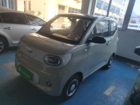 五菱汽车 宏光MINIEV 2024款 第三代 215km 青春版