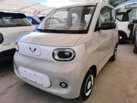 五菱汽车 宏光MINIEV 2024款 第三代 215km 青春版