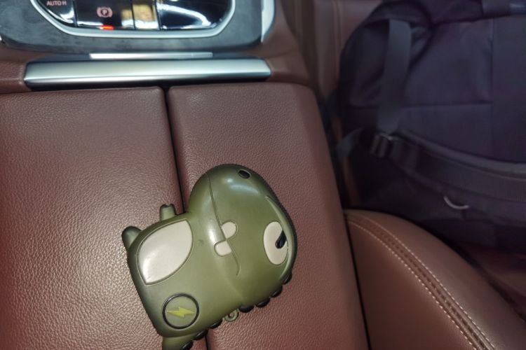 宝马X5(进口) 2020款 xDrive30i M运动套装中控内饰7001