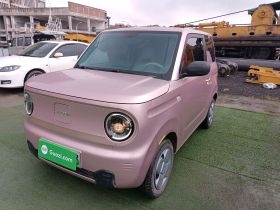 吉利银河 2023款 熊猫mini 200km 耐力熊