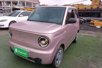 吉利银河 2023款 熊猫mini 200km 耐力熊