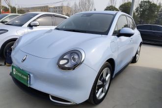 欧拉好猫 2023款 401km标准续航 尊荣型 磷酸铁锂