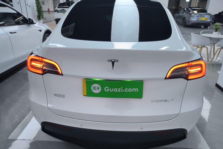 特斯拉 Model Y 2021款 长续航全轮驱动版车身外观6004