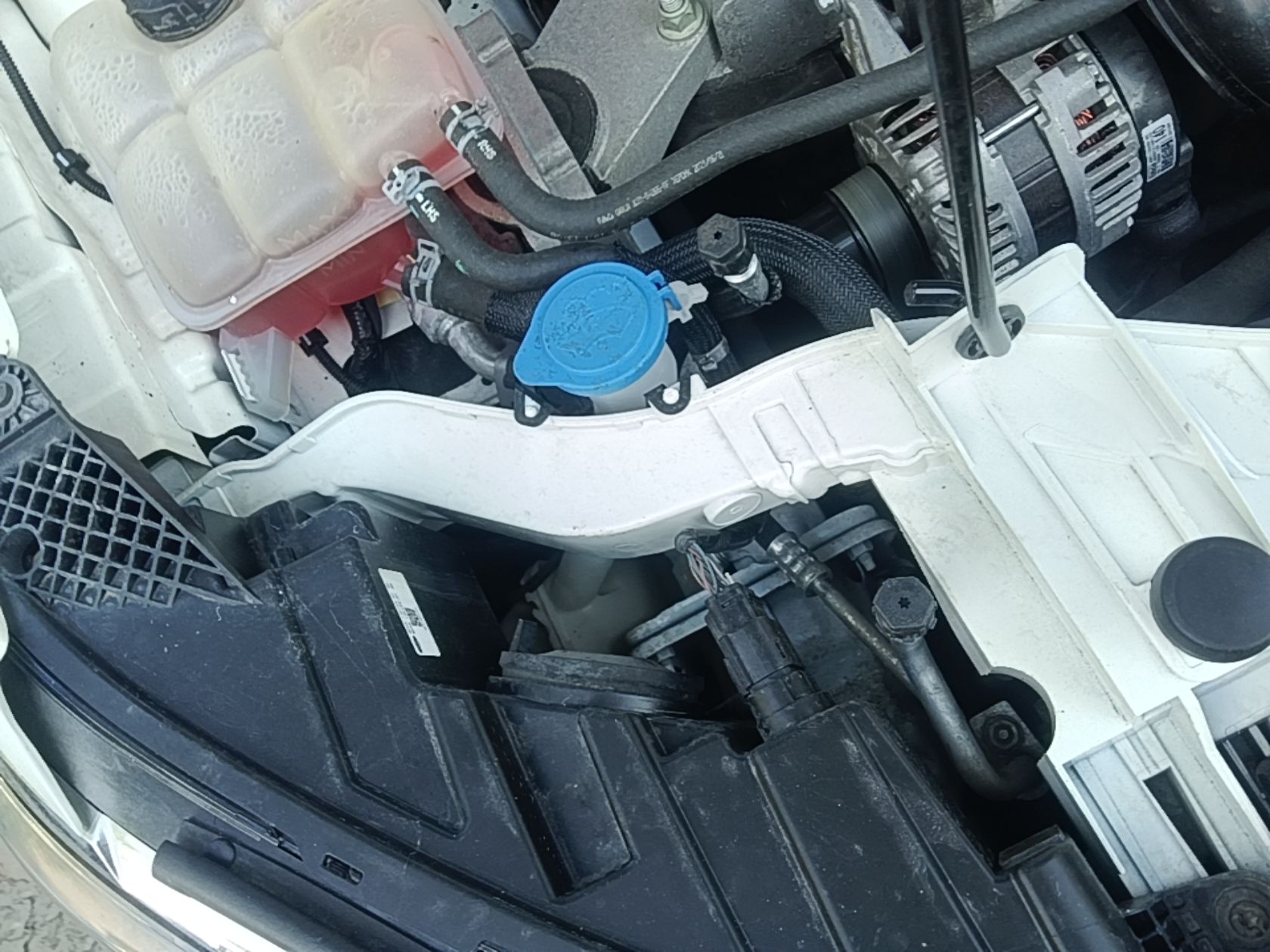 Ford Escort