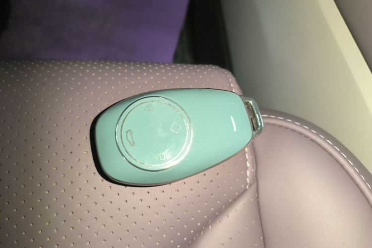 零跑汽车 零跑C11 2021款 改款 豪华版中控内饰7001