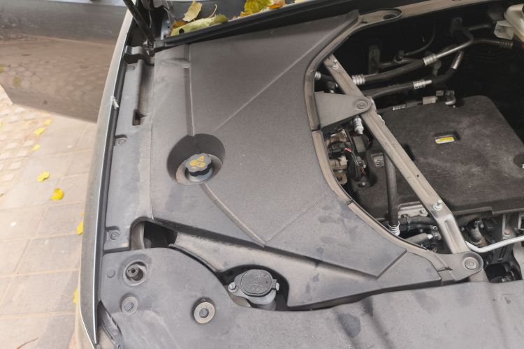 比亚迪 秦PLUS 2023款 冠军版 EV 510KM领先型局部细节9006