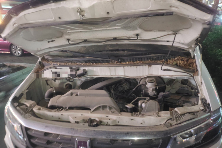 金杯海狮王 2021款 2.0L城运王系列捷运型标准顶6座1TZS局部细节24