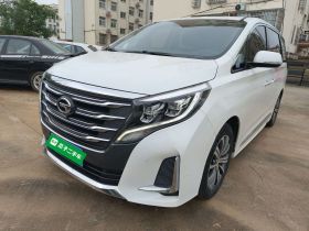 广汽传祺 传祺M8 2020款 领航款 390T 尊贵版